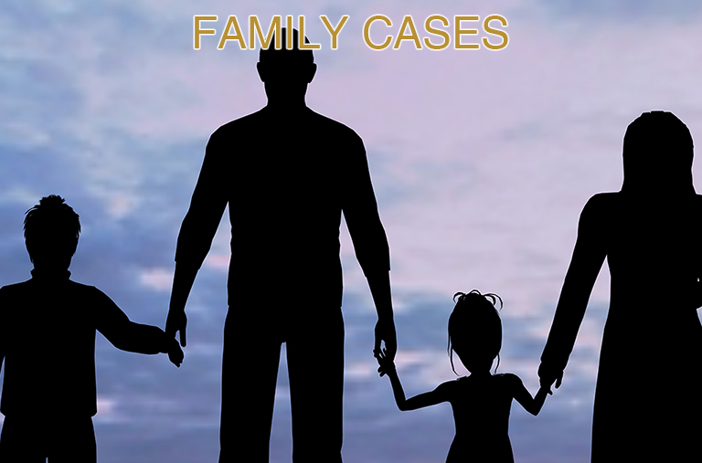 Family Cases – Immigration