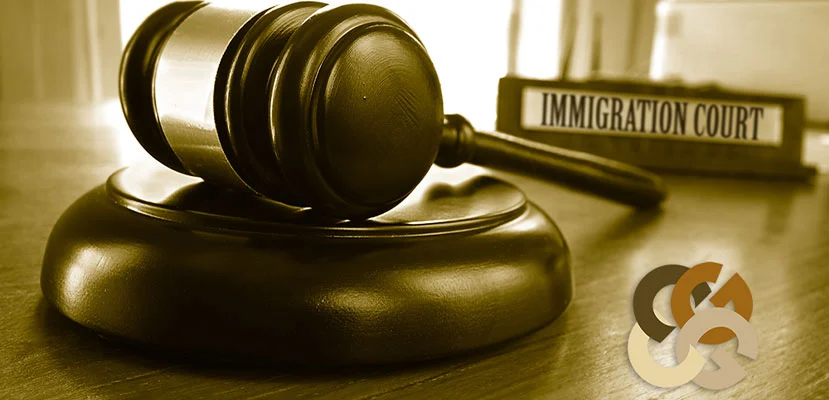 COVID-19 Not Stalling Our Immigration Team