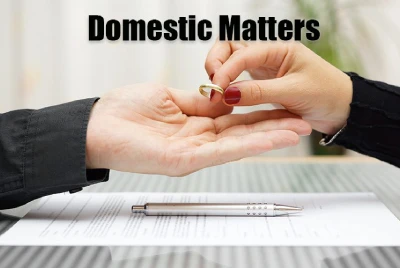 Domestic Matters