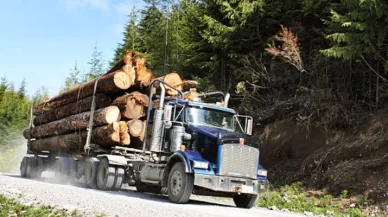 Log Truck Collision Kills 3 People