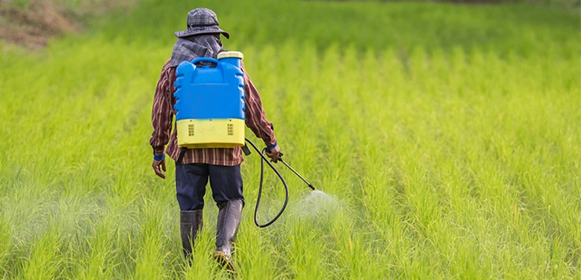 Mississippi Paraquat Herbicide Lawsuit Lawyer-image